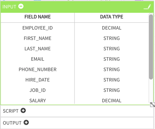 Custom input fields expanded