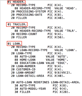 Example of copybook with multiple record types at the 01 level