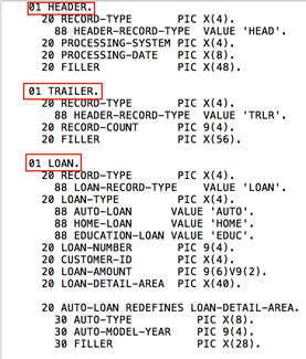 Example of copybook with multiple record types at the 01 level