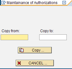 Maintenance of Authorizations copy dialog