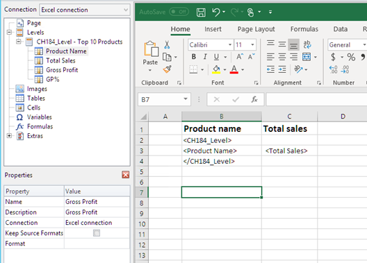 Modèle Excel avec des champs de niveau ajoutés.