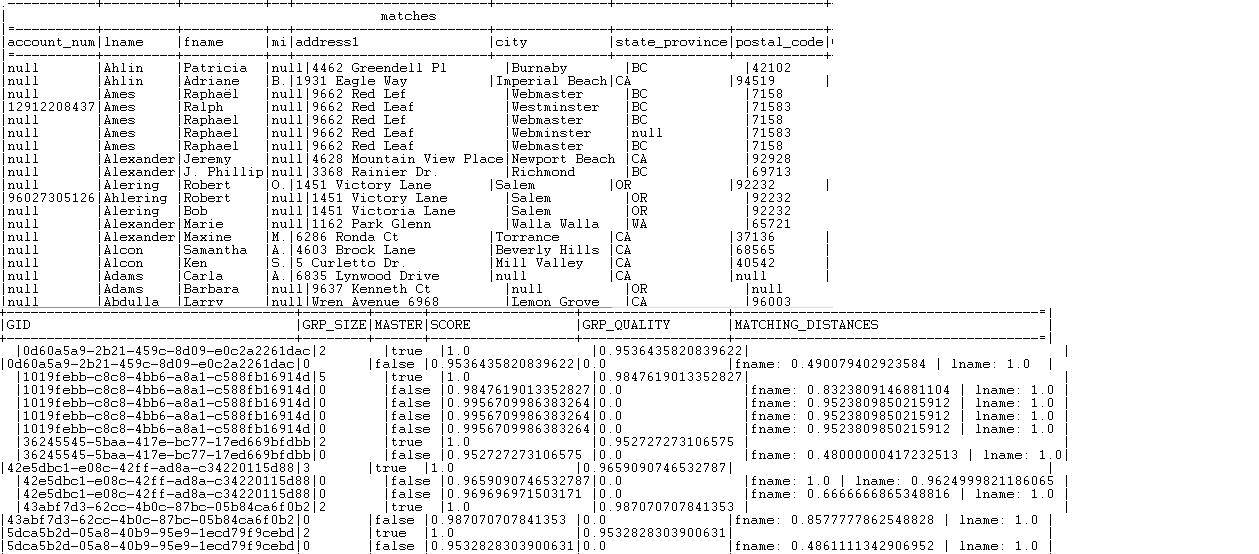 Results of the 'matches' records.