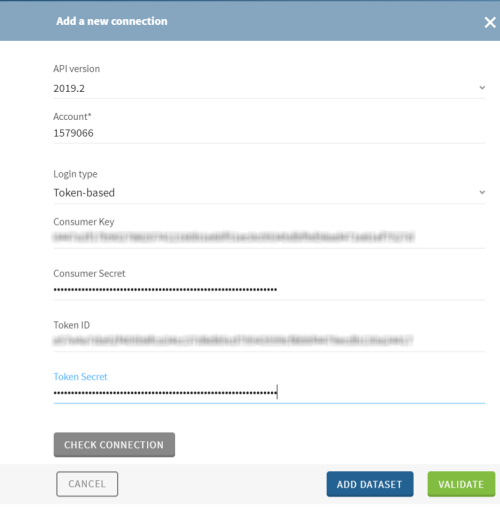 Configuration of a new NetSuite connection.