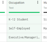 The Occupation column is selected.