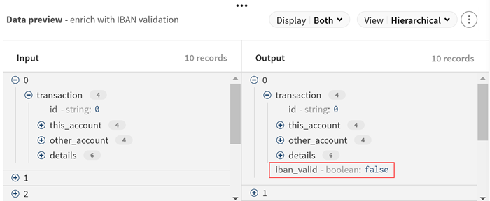 iban_valid field in the output preview.