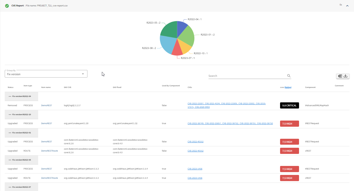 CVE Report example.