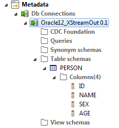 Example of the 'PERSON' table schema.