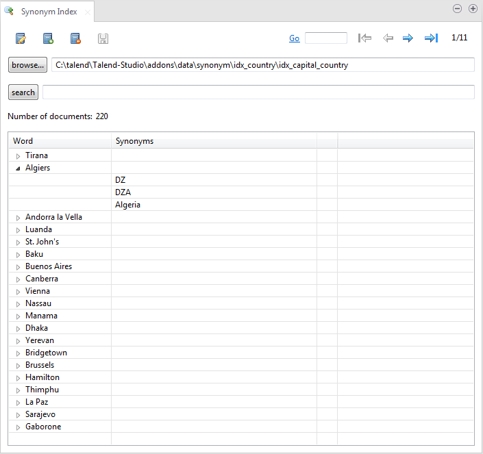 Overview of the Synonym Index editor.