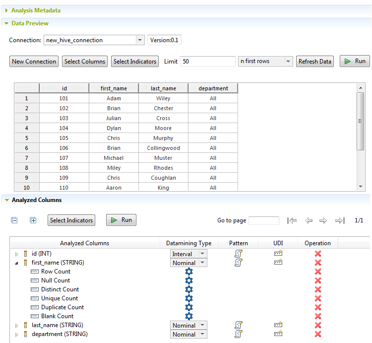 Vue d'ensemble des sections Data Preview (Aperçu des données) et Analyzed Columns (Colonnes analysées).