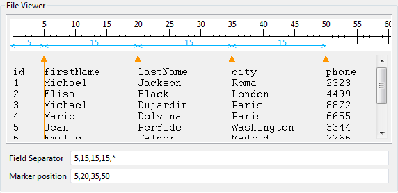 Boîte de dialogue File Viewer (Visualiseur de fichiers).